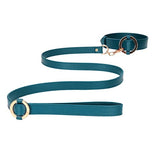 Shots - Ouch Halo Collar with Leash ST1070 CherryAffairs