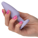 California Exotics - First Time Crystal Booty Anal Kit (Purple) CE1965 CherryAffairs