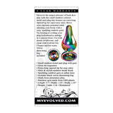 Evolved - Rainbow Metal Anal Plug Small (Silver) EV1050 CherryAffairs